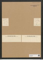 Diatomeae indet. Zeichnungen Sammlung Grunow Nr. 6634 (NHMW-BOT-W0375408)